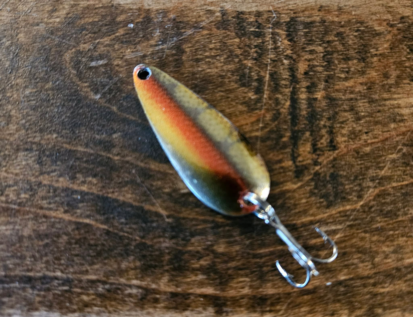 Red Belly Dace