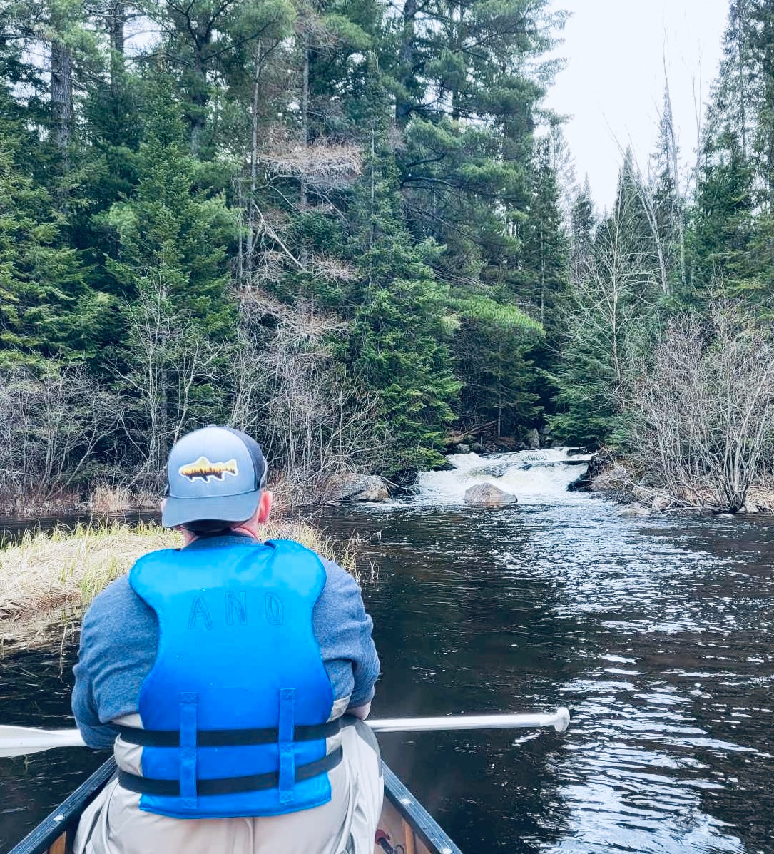 Brook Trout Trucker