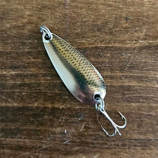 Creek Chub/Minnow