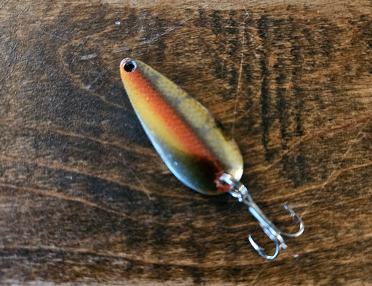 Red Belly Dace
