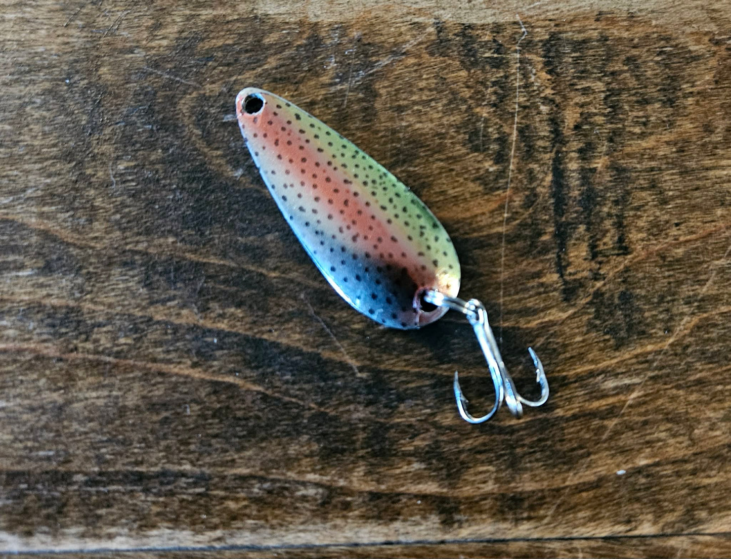 Rainbow Trout