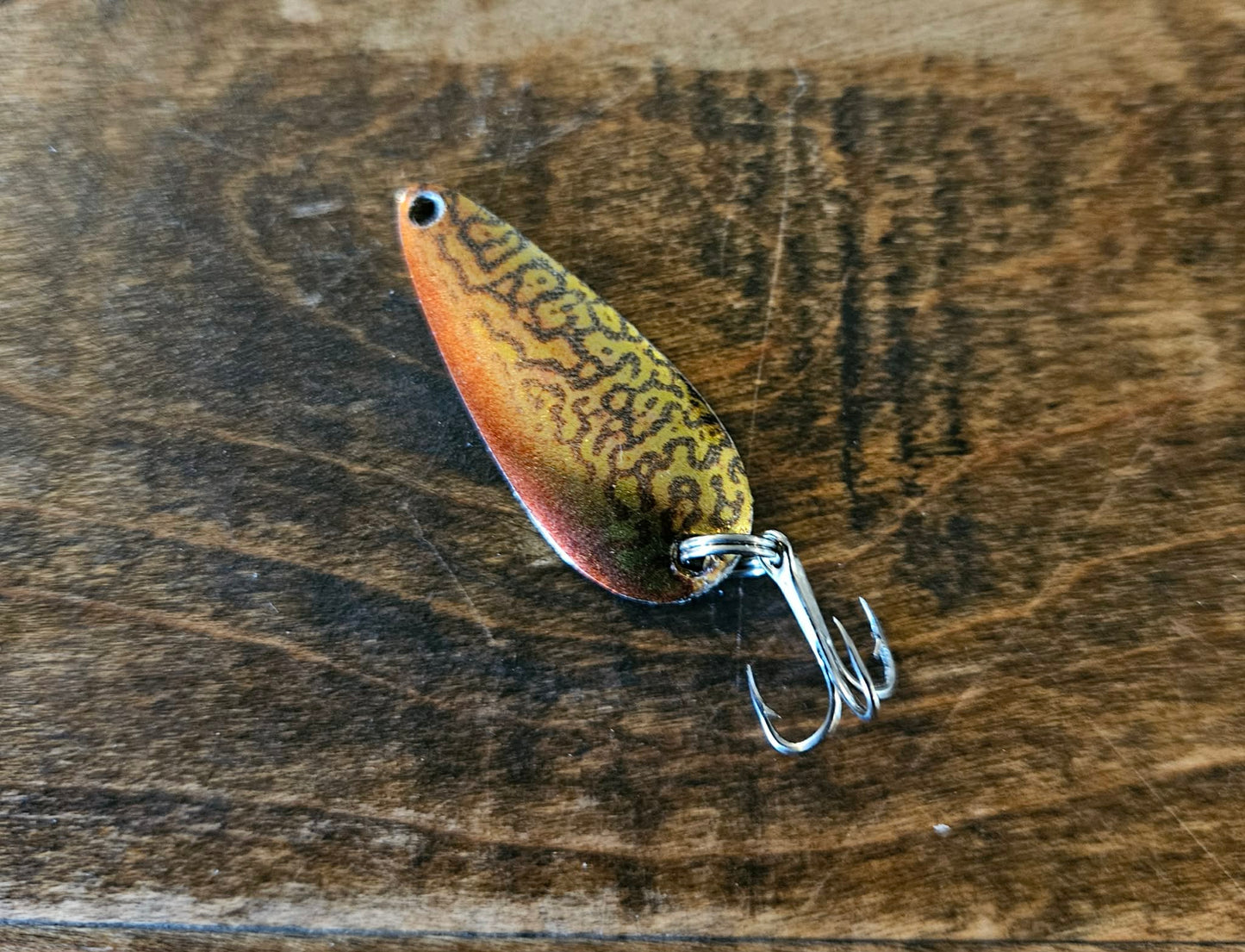 Tiger Trout