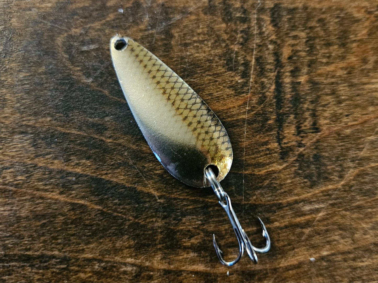 Creek Chub/Minnow