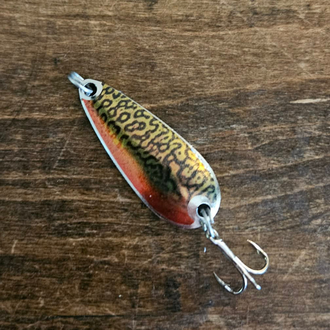 Tiger Trout