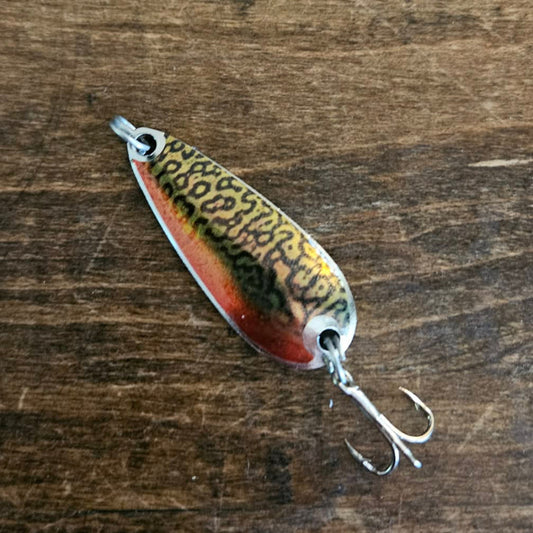 Tiger Trout