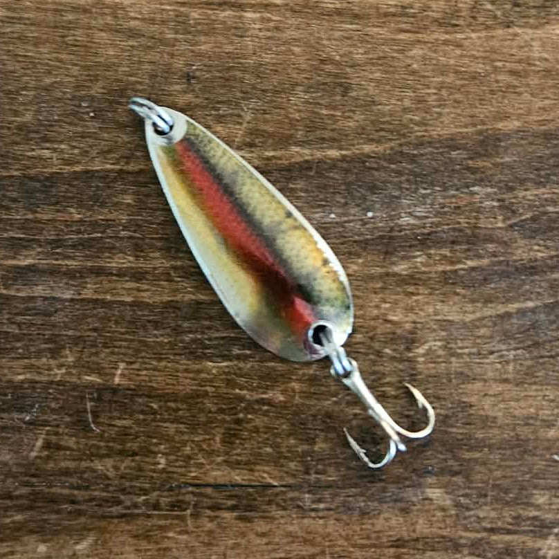 Red Belly Dace
