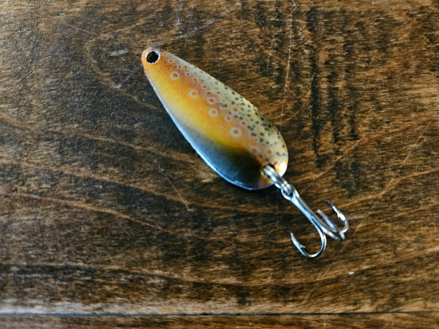 Brown Trout